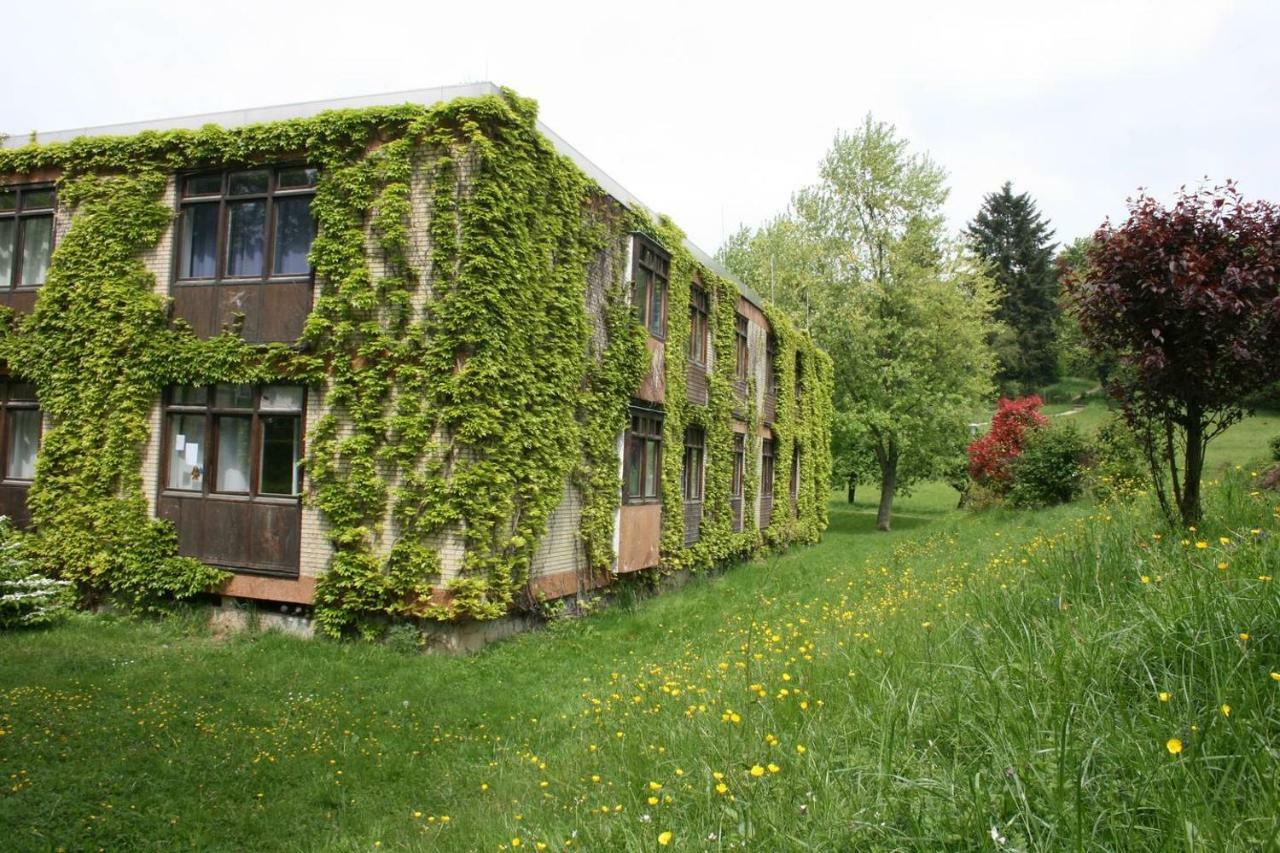 Blumenmeer Appartment Ober-Hambach Exterior foto